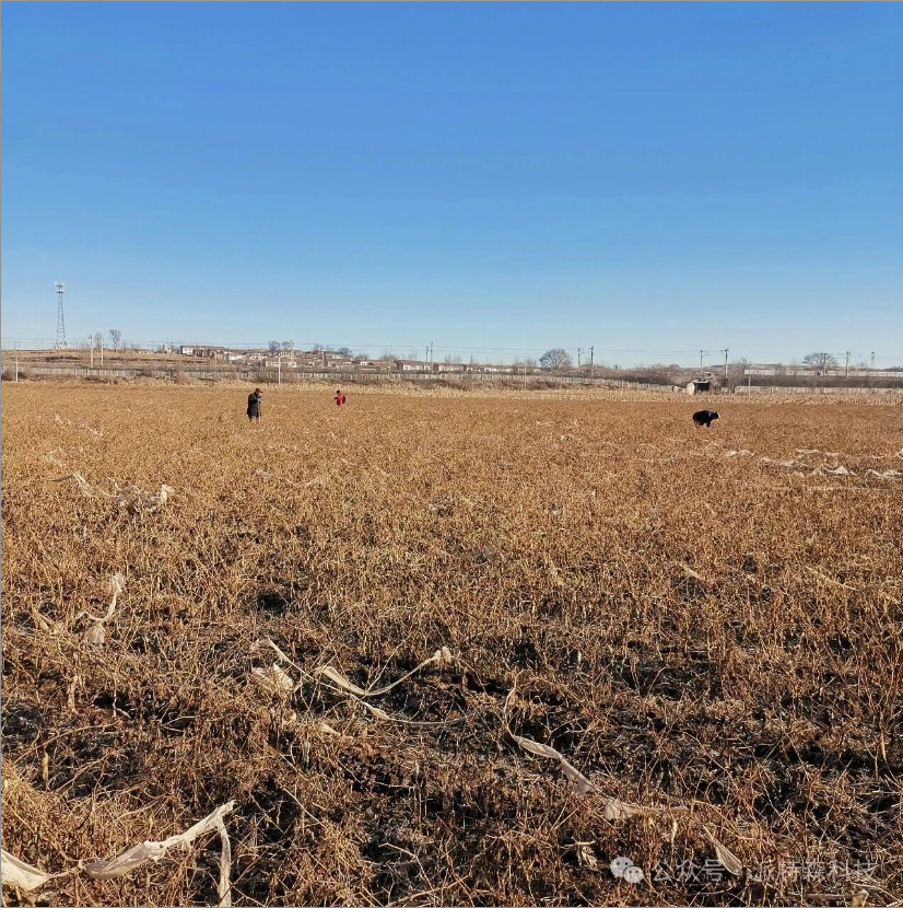 2026年已开篇：山西某煤矿开展三维地震频率谐振施工